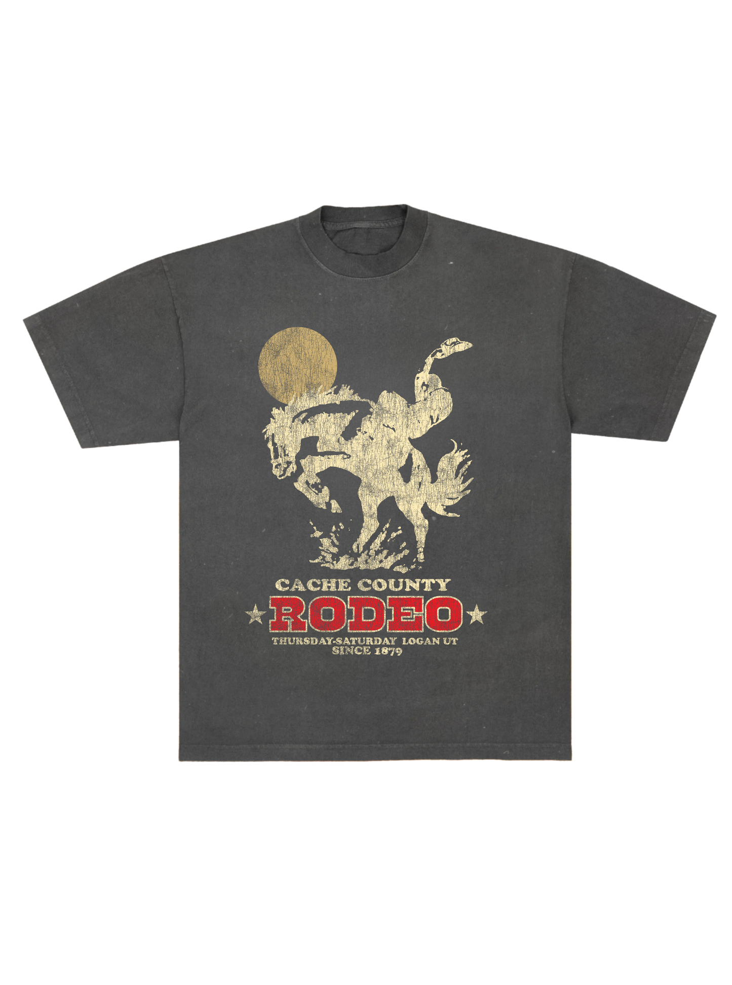 Cache County Rodeo Night Tee