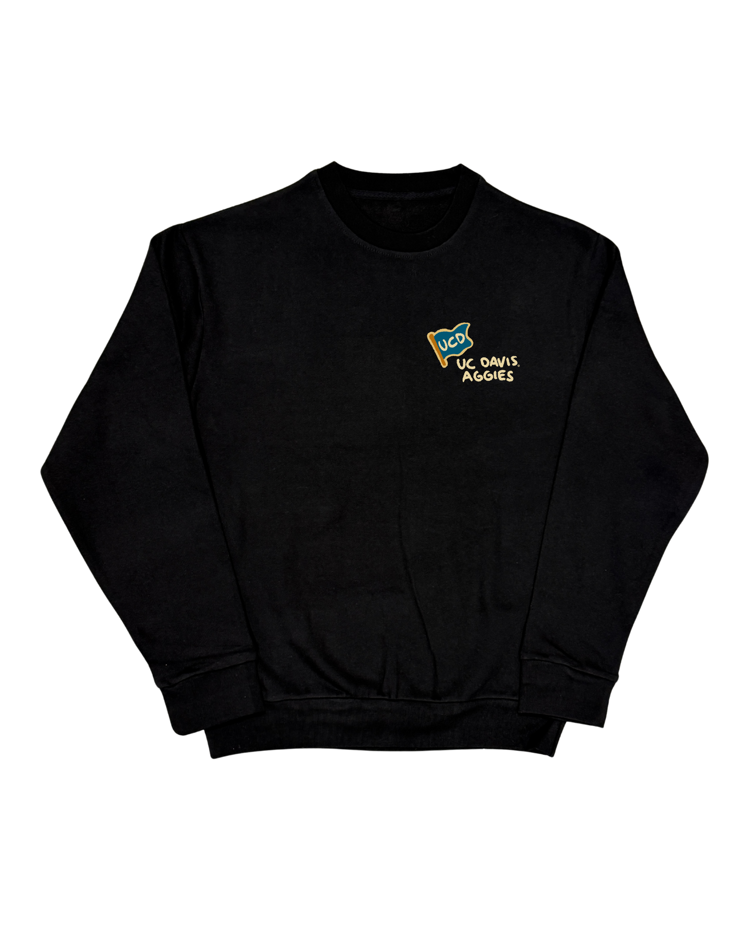 UC Davis - Paint Crew