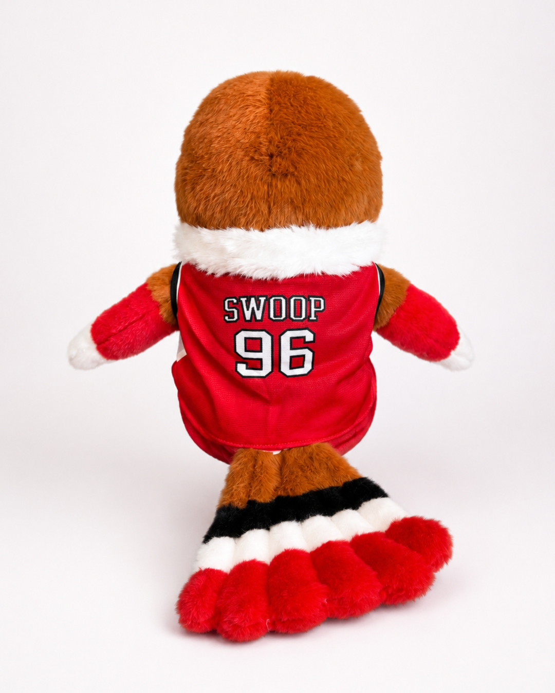 Swoop Basketball