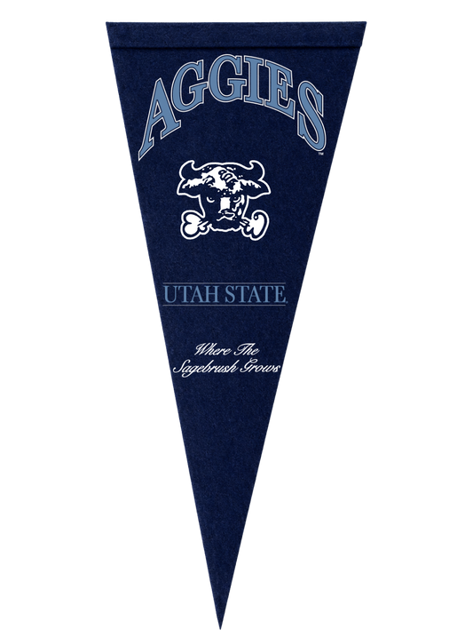 USU Throwback Pennant - Large