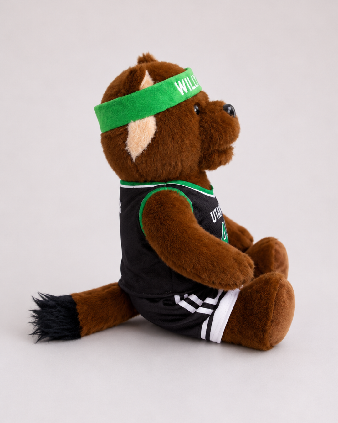 Willy Basketball