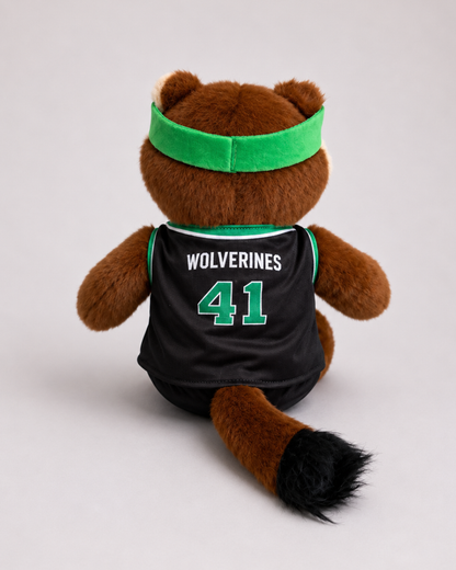 Willy Basketball