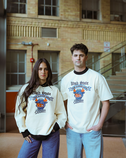 USU - Color Block - Mascot Hoodie