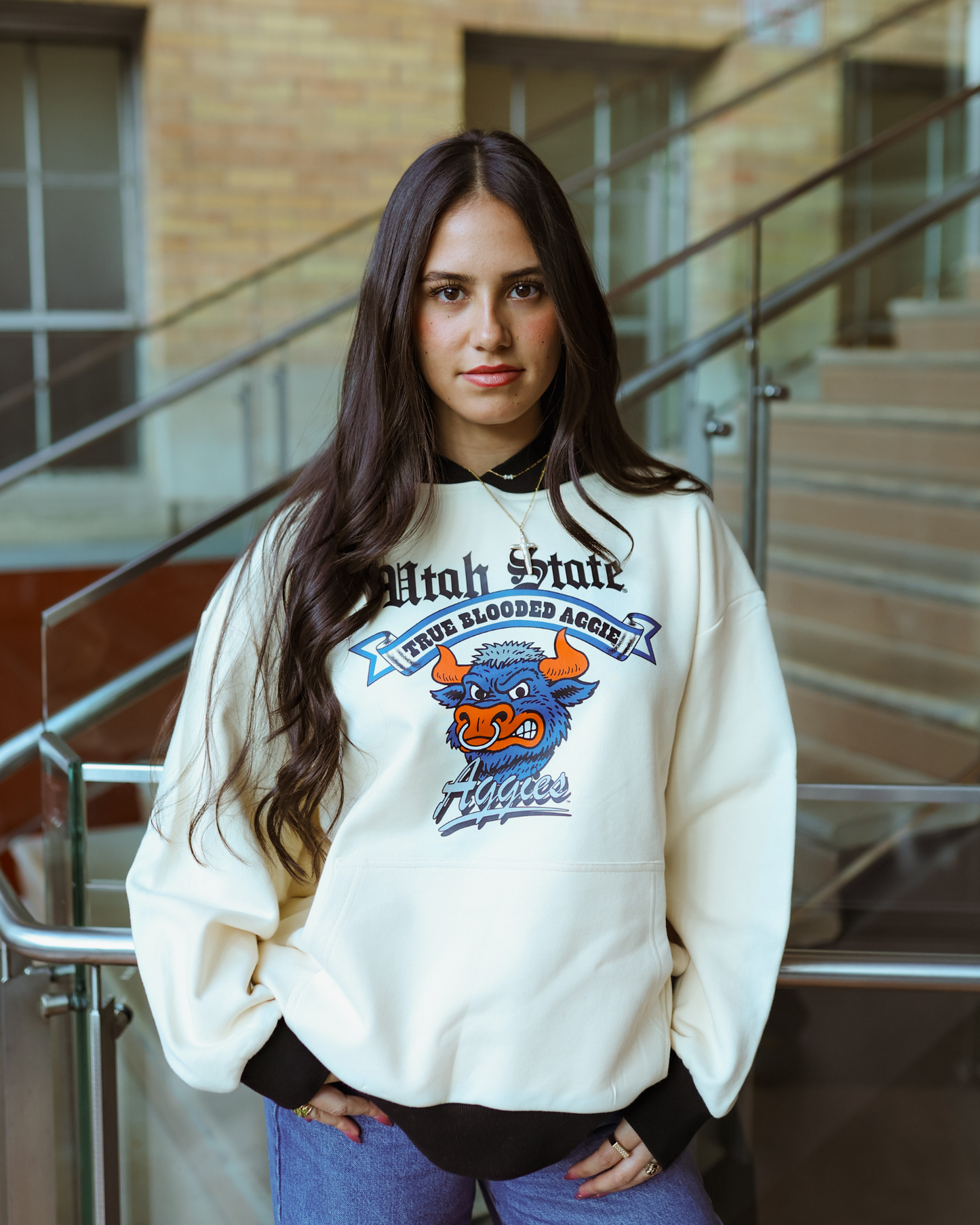 USU - Color Block - Mascot Hoodie