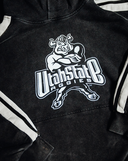 USU - Striped Hoodie - 2000s Bull
