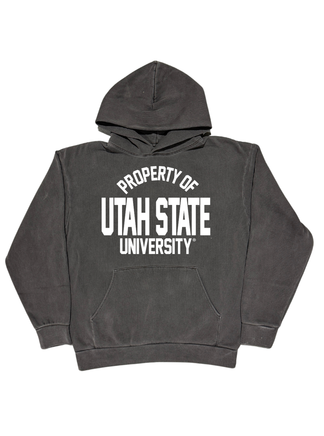 USU - Property Hoodie - HVYweight