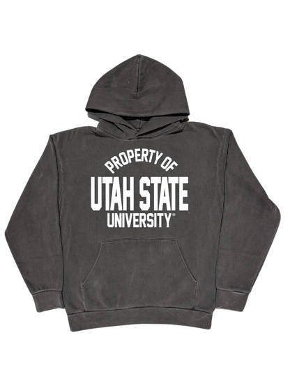 USU - Property Hoodie - HVYweight