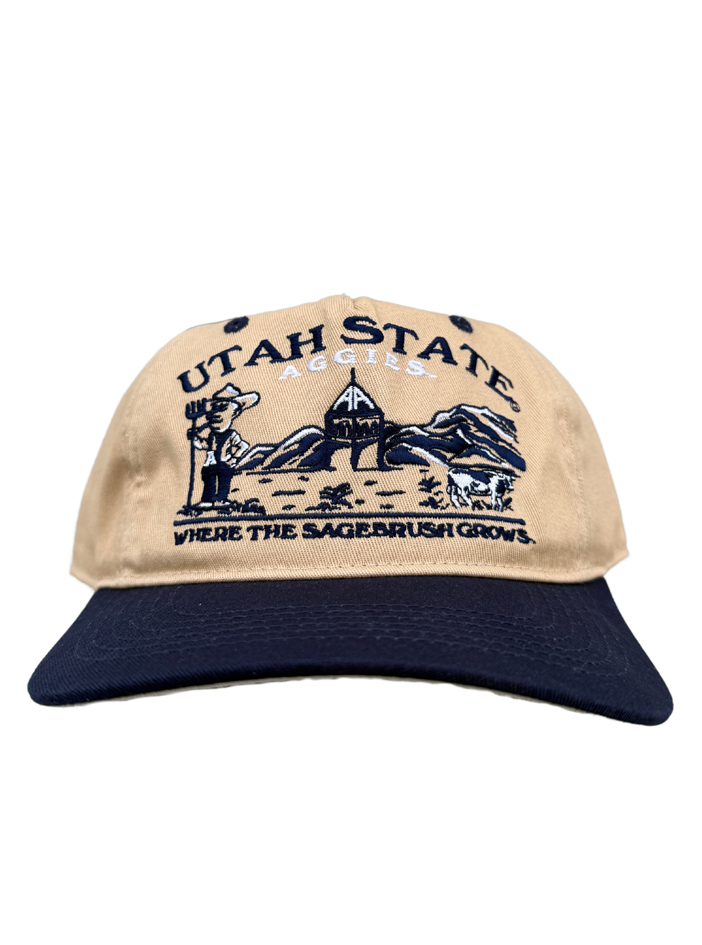 Utah State - City Hat