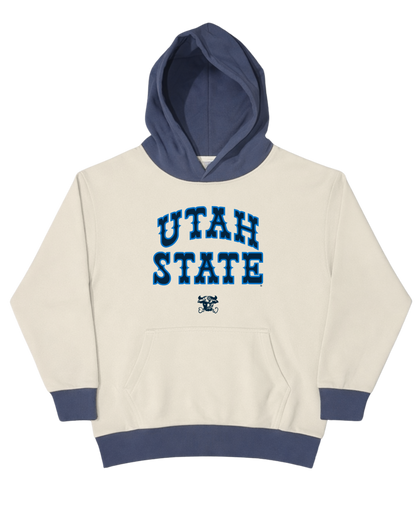 USU - Color Block - Jersey Hoodie