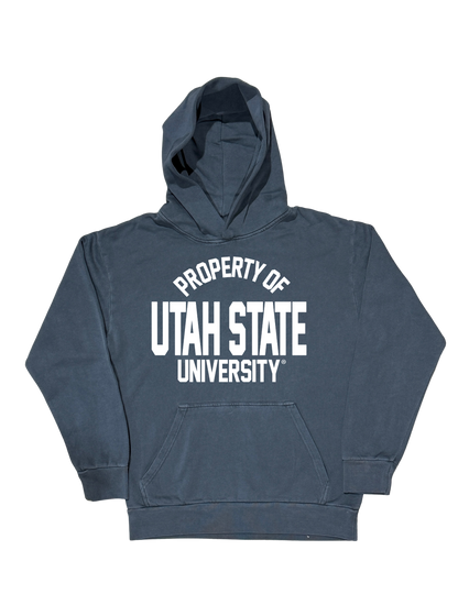 Navy Property Hoodie
