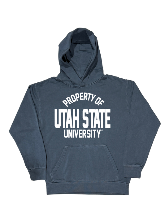 Navy Property Hoodie