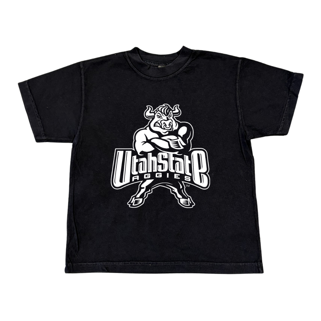 USU - Youth 2000s Bull Tee