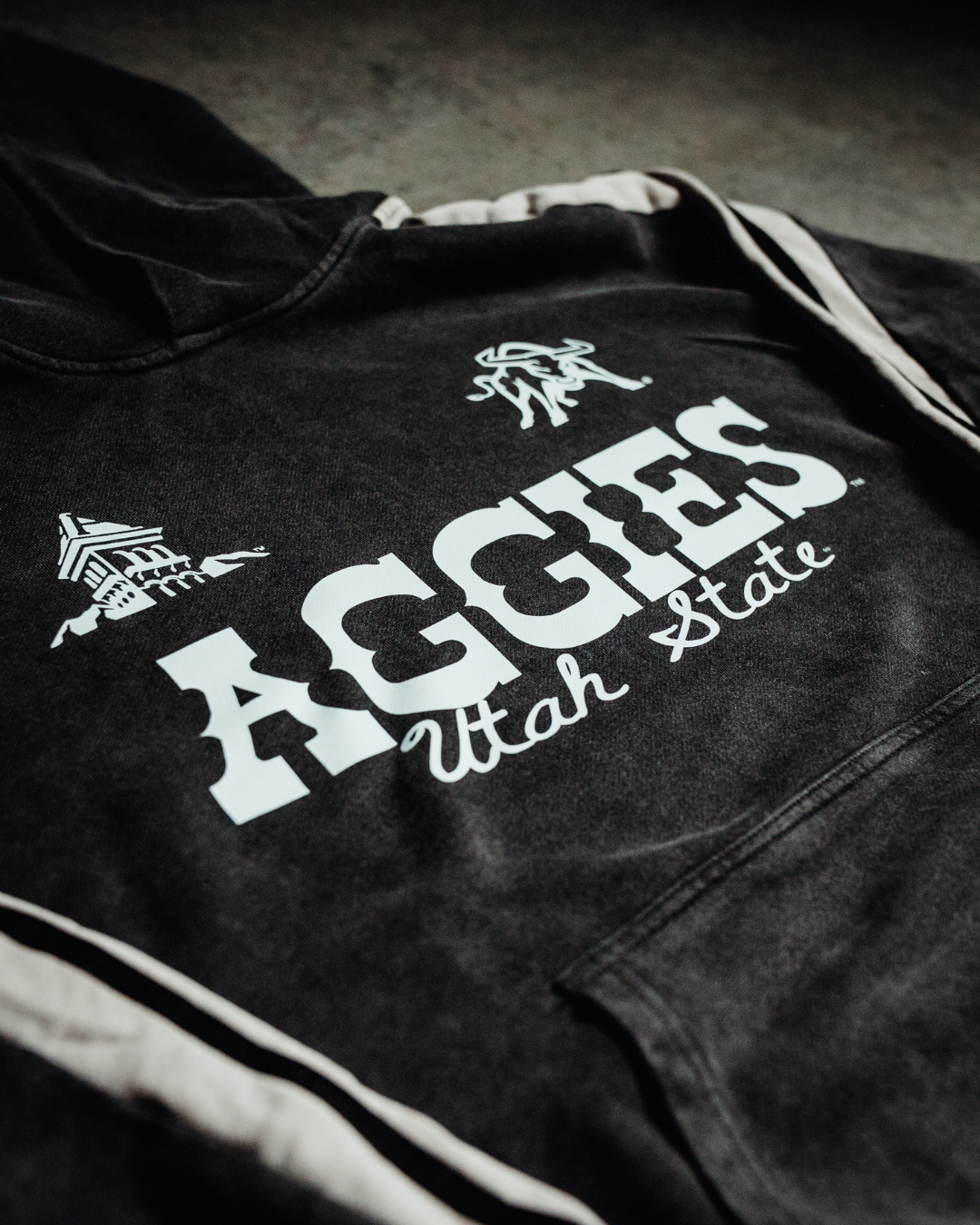 USU - Striped Hoodie - Western