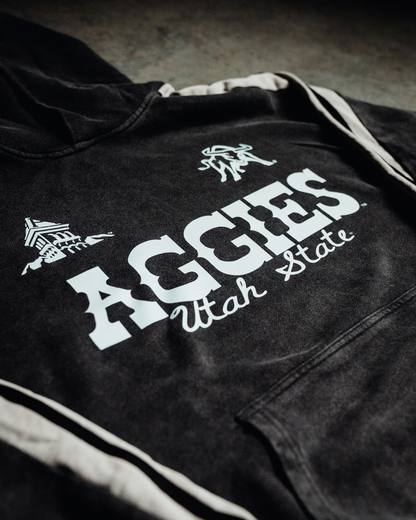 USU - Striped Hoodie - Western