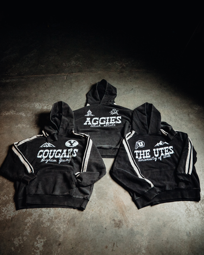 BYU - Striped Hoodie - Western