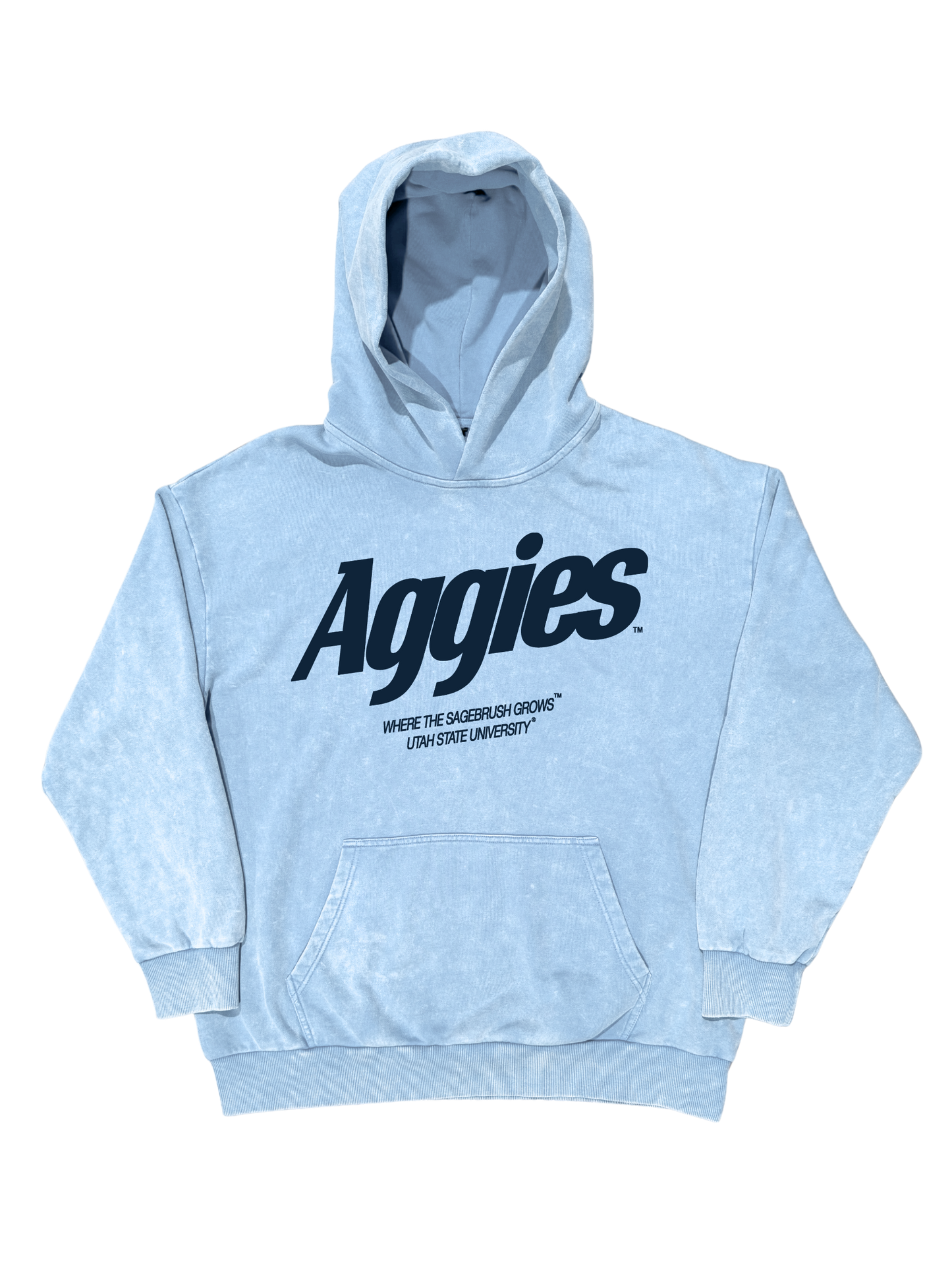 USU - Blue Momentum Hoodie
