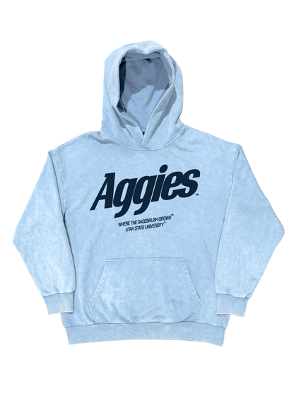 USU - Blue Momentum Hoodie
