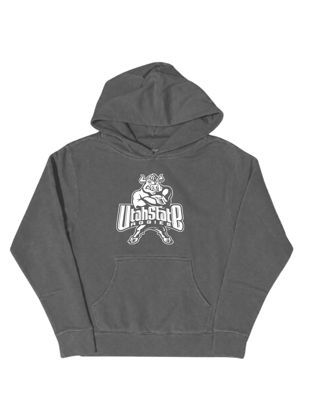 Youth 2000's Bull Hoodie