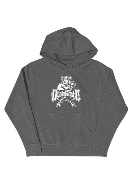 Youth 2000's Bull Hoodie