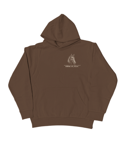 UC Davis - Heritage Hoodie - HVYweight