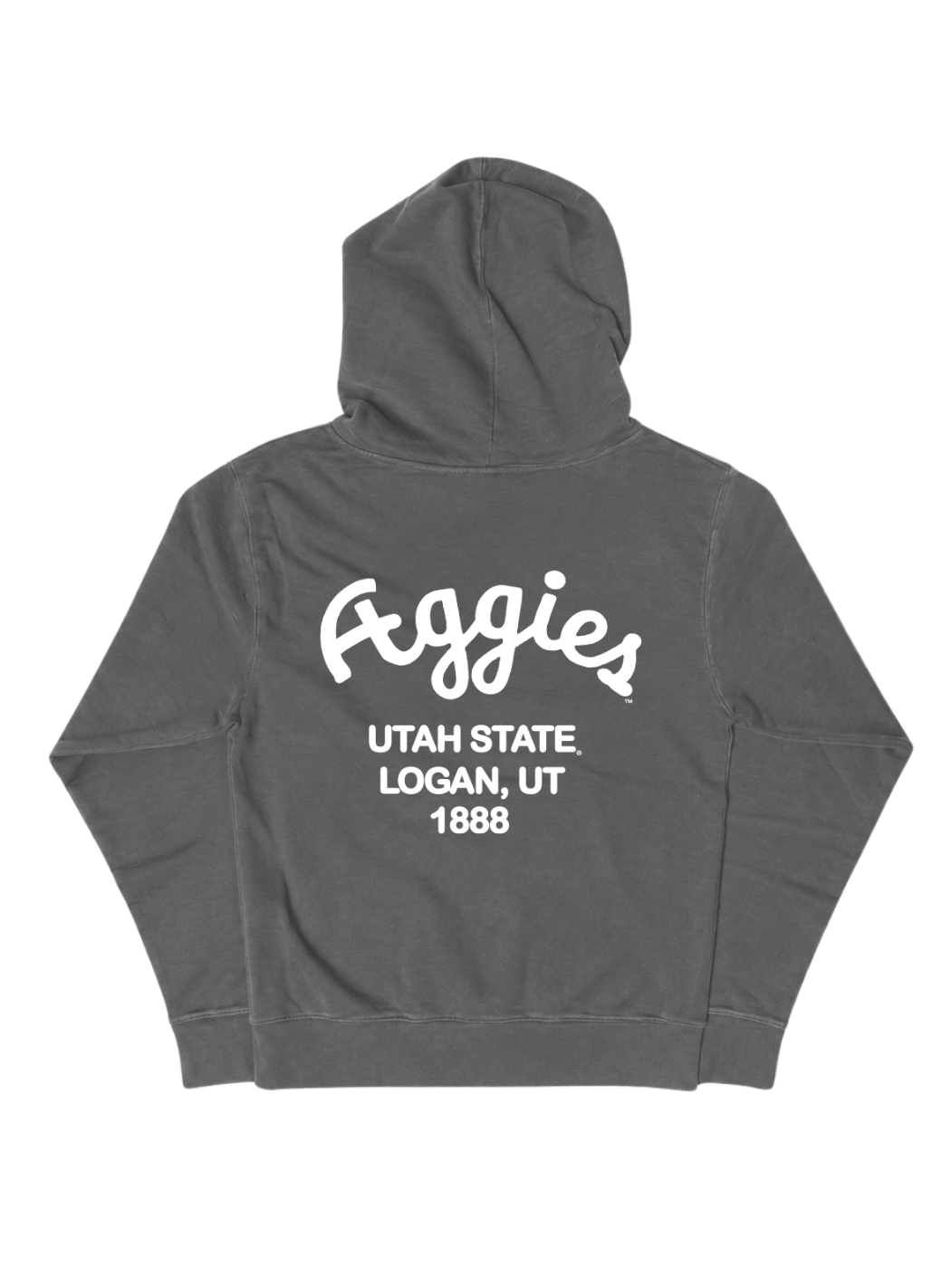 Youth USU Work Hoodie
