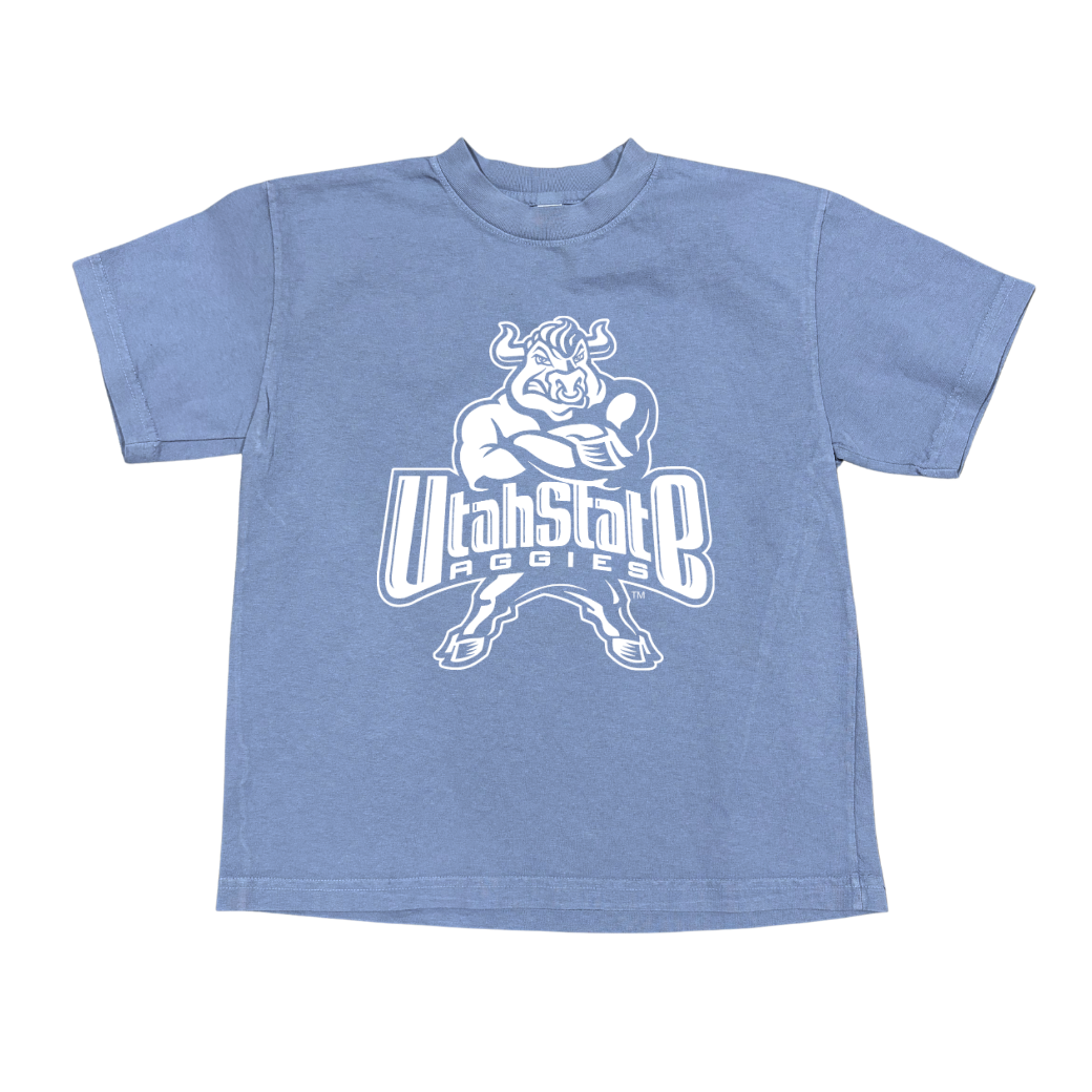 USU - Blue - Youth 2000's Bull Tee