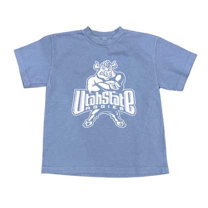 USU - Blue - Youth 2000's Bull Tee