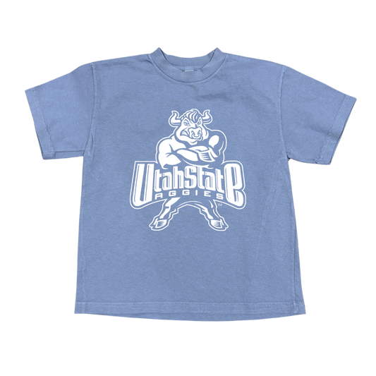 USU - Blue - Youth 2000's Bull Tee