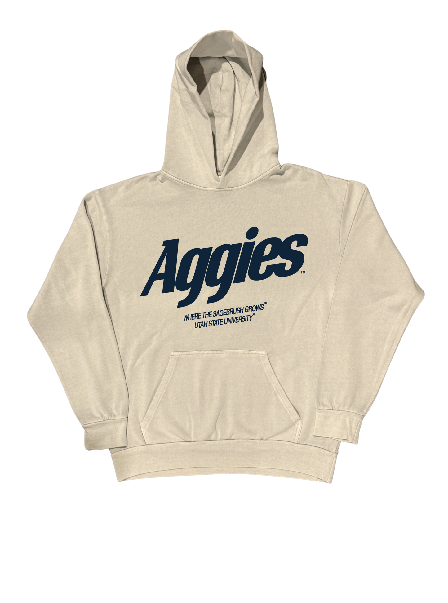 USU - Momentum Hoodie