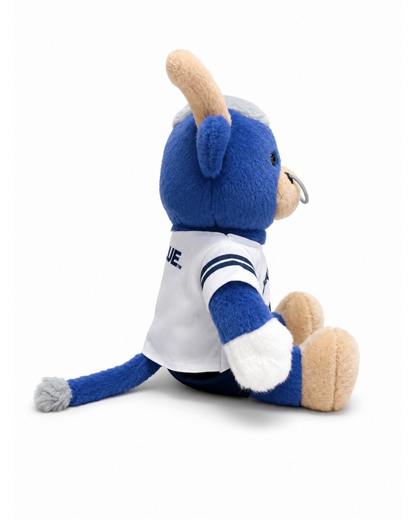 Big Blue Football