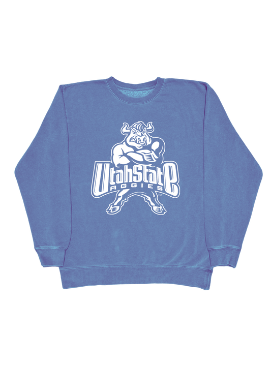 USU - 2000s Bull Crew