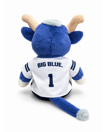Big Blue Football