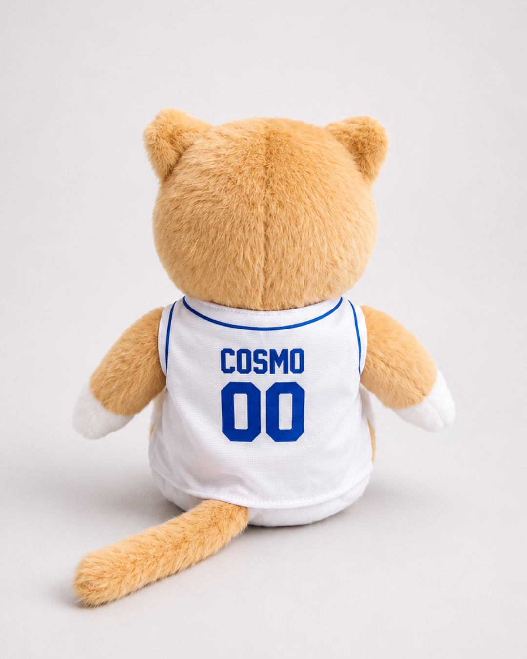 Cosmo Basketball