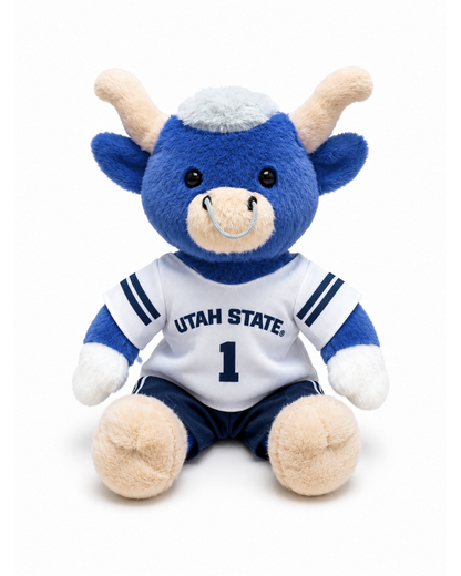 Big Blue Football