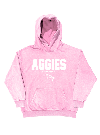 USU - Pink Varsity Block Hoodie