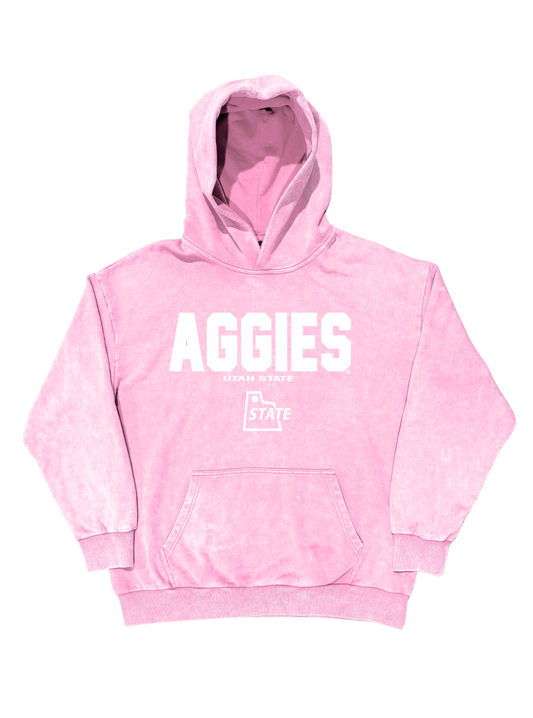 USU - Pink Varsity Block Hoodie