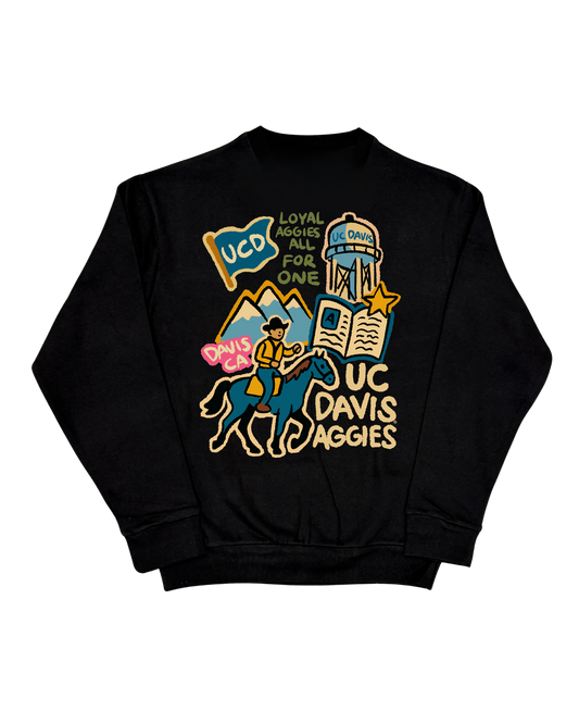 UC Davis - Paint Crew