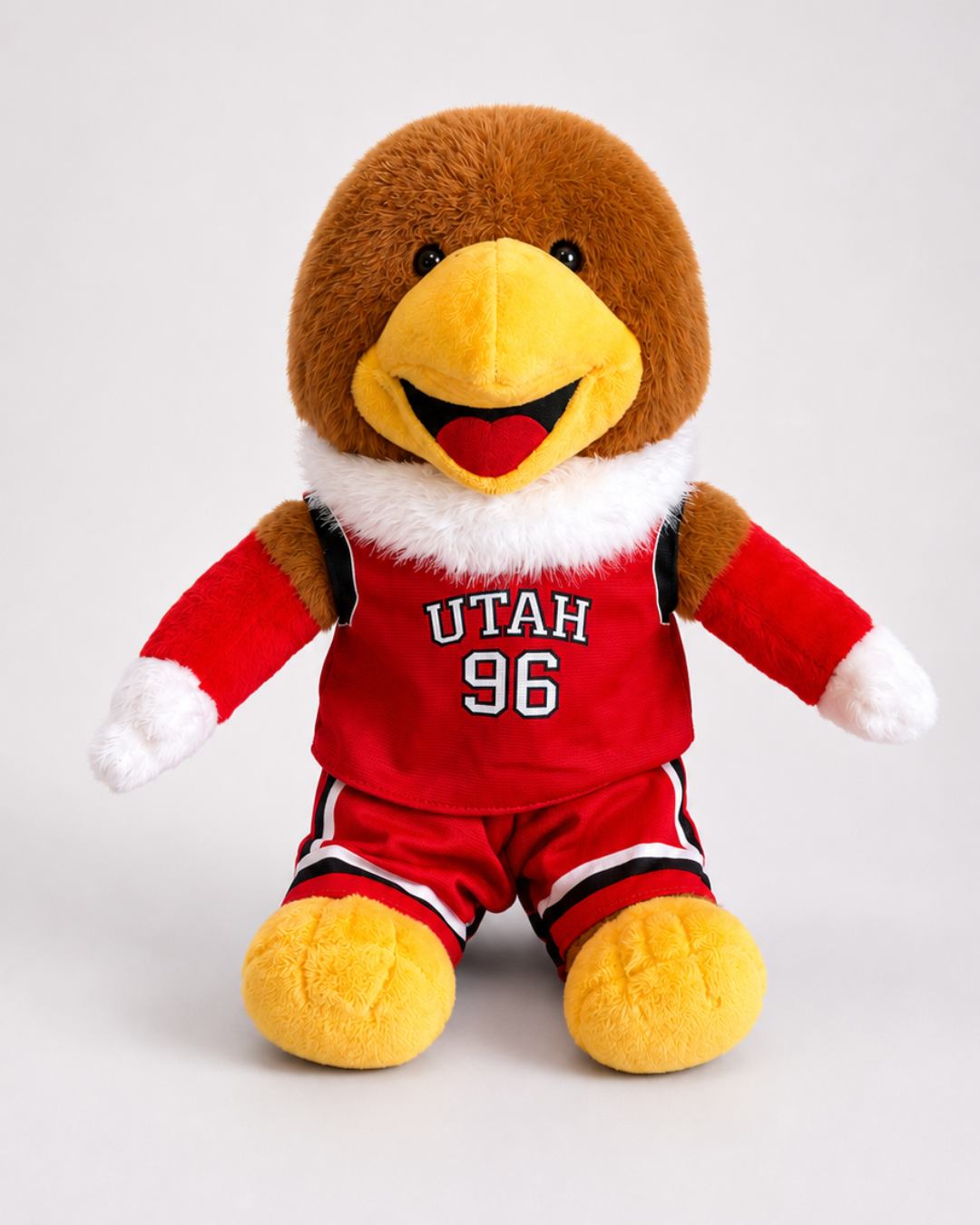 Swoop Basketball