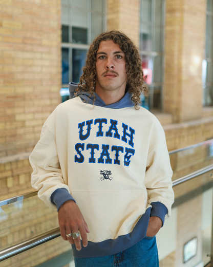 USU - Color Block - Jersey Hoodie