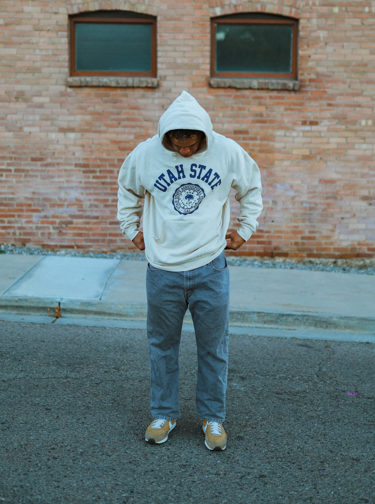 Utah State - University Seal Hoodie