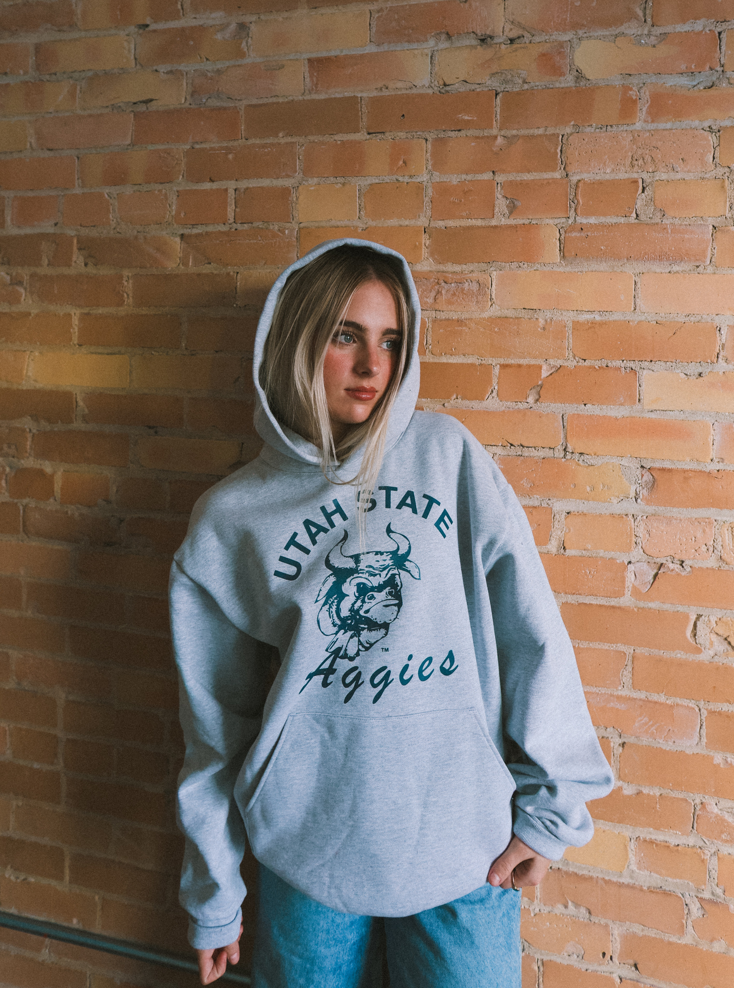 USU - Vintage Bull Hoodie - HVYweight