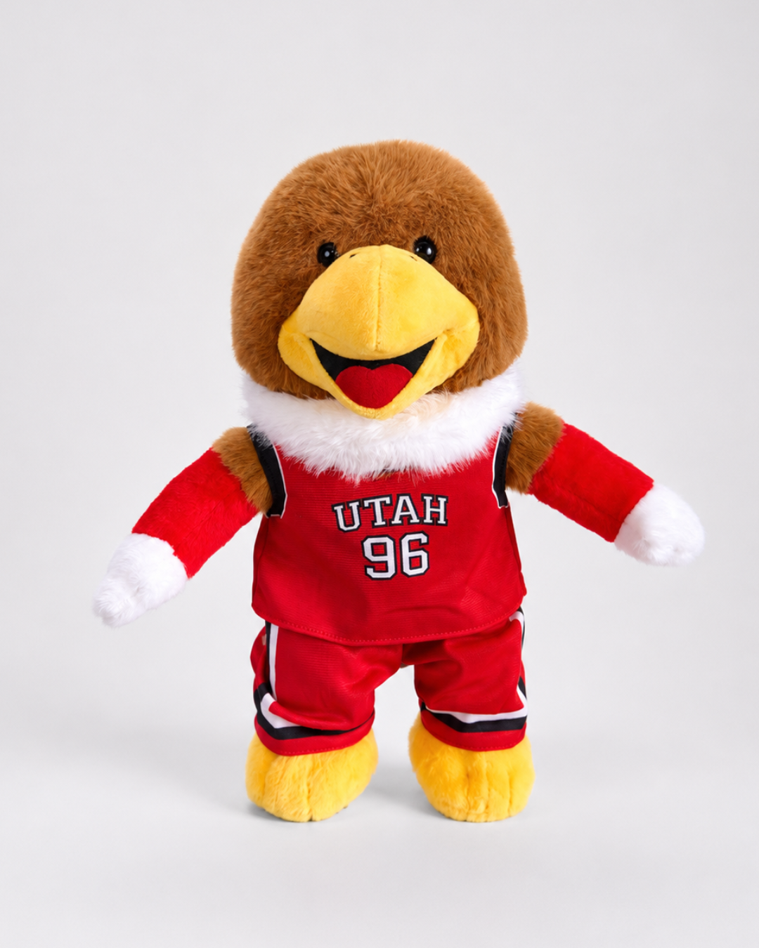 Swoop Basketball