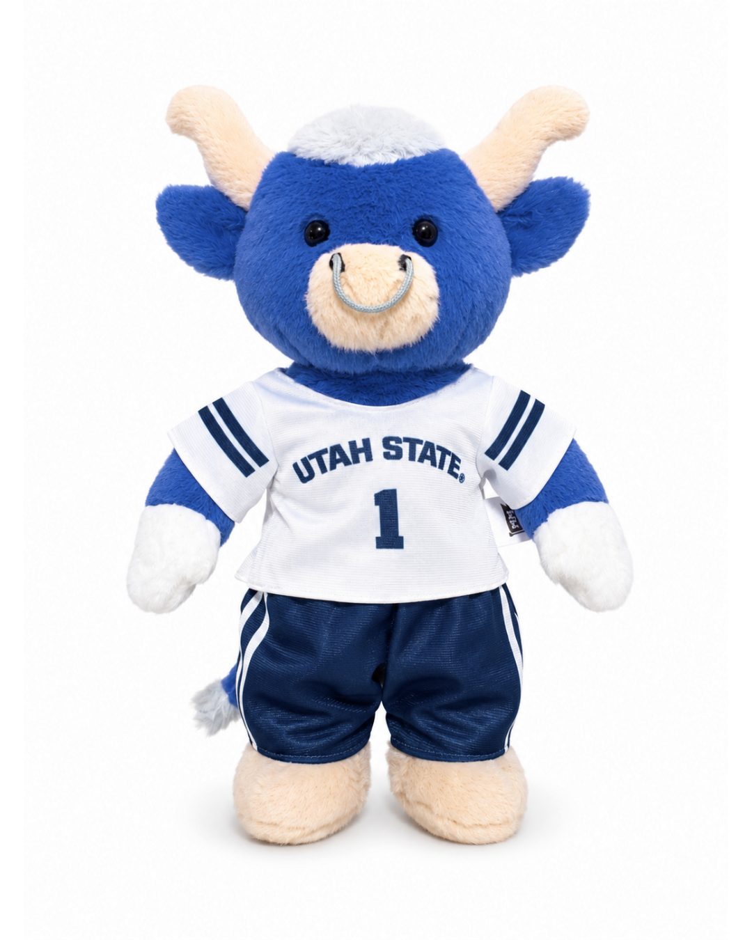 Big Blue Football