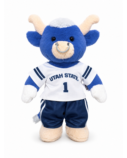 Big Blue Football
